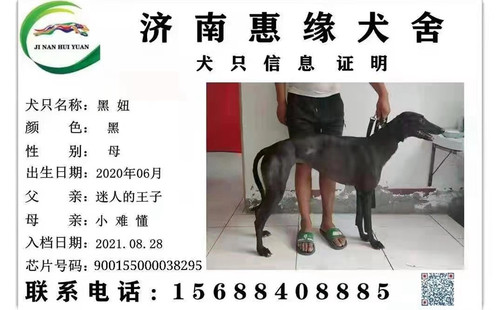 黑妞 900155000038295