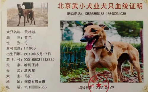 黄格格 900168021112385