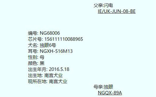 独眼6号 NGXH 516M，156111110088965