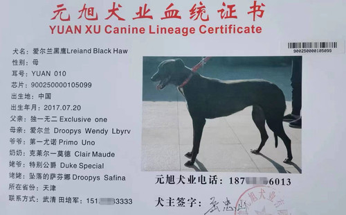爱尔兰黑鹰 900250000105099，YUAN010