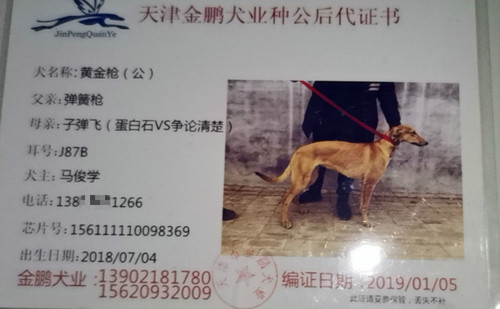 黄金枪 156111110098369，J87B
