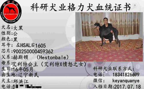 大黑 900250000459362，HSAL1605