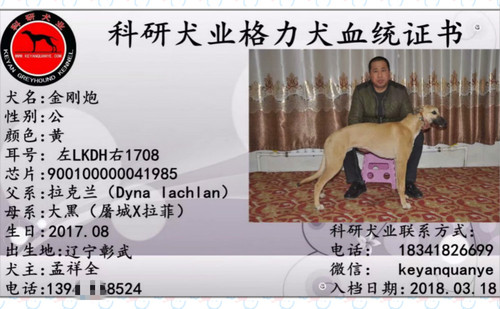 金刚炮 90010000041985，LKDH1708