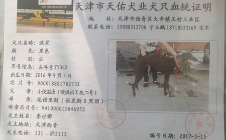 流星 TY362，900018881702732