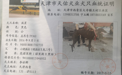 流星 TY362，900018881702732