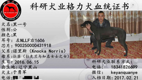 黑一号 900250000431918，NLLF1606