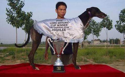 收银机 Young Warrior，年轻的武士