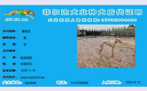 黄精灵 900215002575166