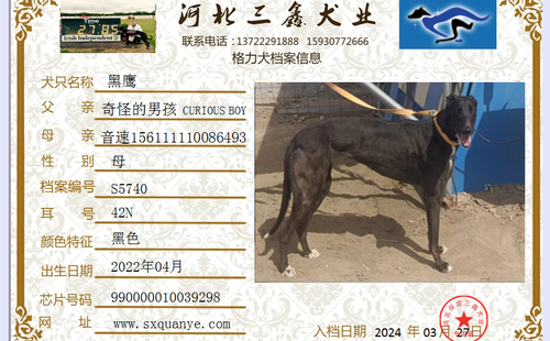 黑鹰 990000010039298，42N