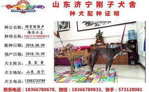 踏雪隆隆声X海浪公主 156111110029513.jpg