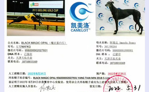 魔法蛋白石X阿曼达 Amanda Bynes，36F 68264，988000001880001.jpg