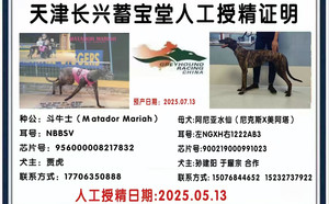 斗牛士X阿尼亚水仙 900219000991023.jpg