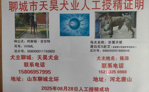 阿斯顿吉甘特X折翼天使 988000001880048.jpg
