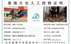 涡轮托马斯X纯的 BFQC 73F，941000016715098.jpg