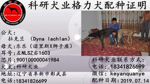 拉克兰X乐乐 900100000041984，NLSZ1603.jpg