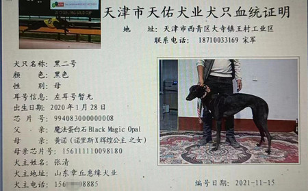黑二号 994083000000008，900115001743614