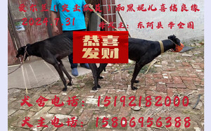突击队员X黑妮儿 900115001743572，NGXH720A19.jpg