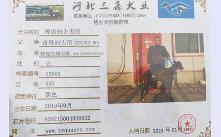辉煌的小男孩 900215004956832，99N