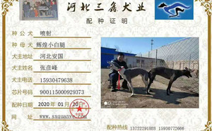 喷射X辉煌小白腿 NGXH 717M，900115000929373.jpg
