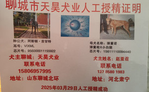 阿斯顿吉甘特X弹簧诺 156111110094440，J98C.jpg