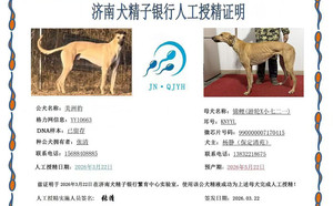 美洲豹X锦鲤 990000007170415.jpg