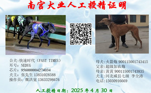 快速时代X火箭炮 900115001743415，NGXH321AB1.jpg