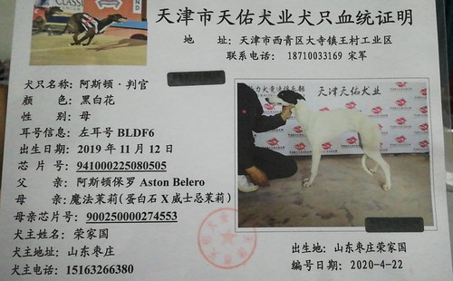 阿斯顿判官 BLDF6，941000225080505