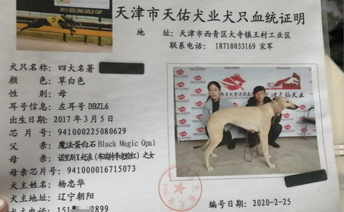四大名著 DBZL6，941000225080629
