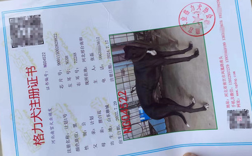 计划1号 900115002829822