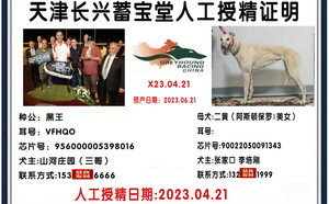 黑王X二黄 900022050091343.jpg