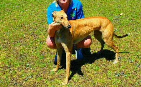 菲特 Anywhere Anytime，956000008462570，B05V