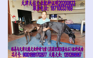 路易X飞雪900018881702877.jpg