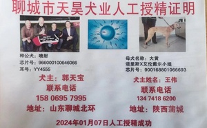 喷射X大黄 900168801066693，NLAL1605.jpg