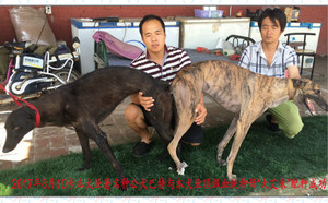 巴特X大艾米900201709632341.jpg
