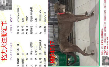 托马斯·澜 900115002829817，NGXH1021A7