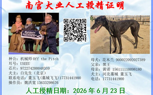 机械师X花木兰 900022092027389.jpg