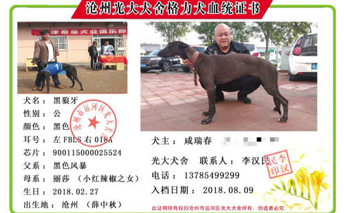黑狼牙 FBLS 018A，900115000025524