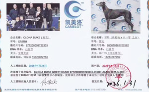 杜克X黑妞 900018881702592.jpg