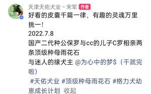C罗X雨花石 156111110096072.jpg