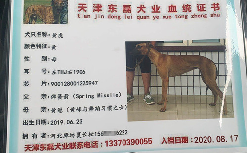 黄虎 900128001225947，THJ1906