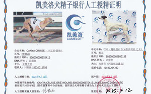卡尼亚游轮X蠡县高进营的巴克988000001880138（2025年4月12日配）.jpg