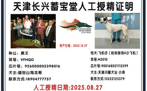黑王X飞机仔 900168021112399.jpg