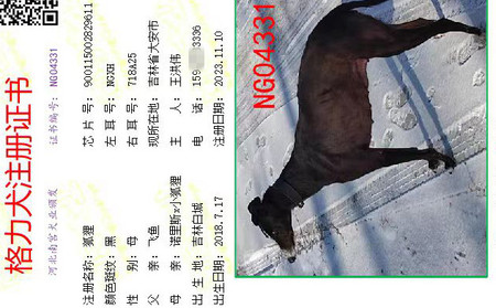 狐狸 900115002829611