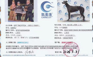 机械师X玫瑰 900215005135449，941000225080856.jpg