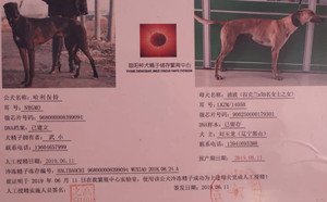 哈利保持X波波 LKZM 1405B，900250000179301.jpg