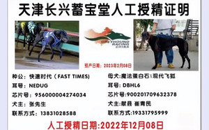 快速时代X三七八 900201709632378.jpg