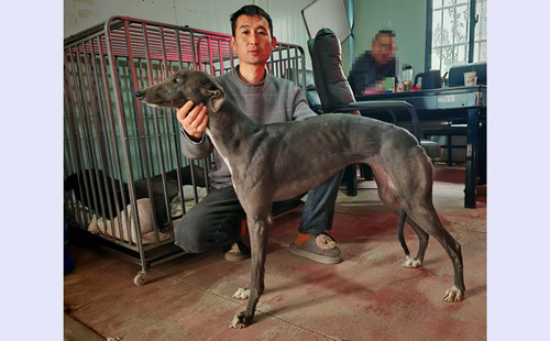 飓风 900255002740994