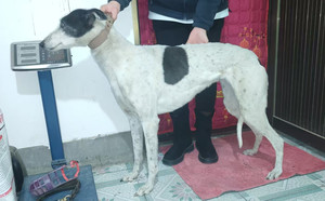 香奈儿 900215005748561.jpg