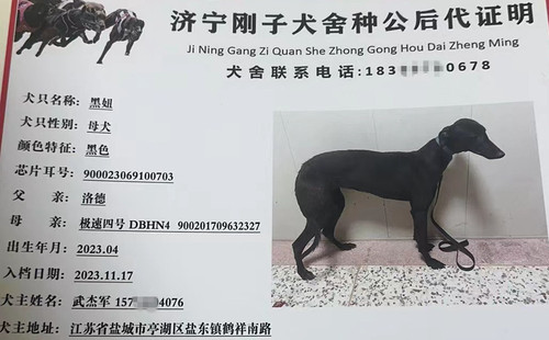 黑妞 900023069100703