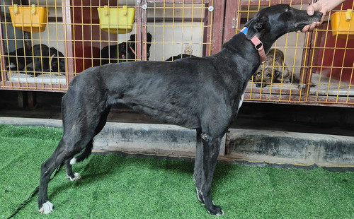 莉莉 900263001562278